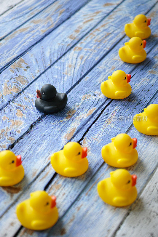 在蓝色木制背景上，一群黄色橡皮鸭朝一个方向移动，而一只黑色的鸭子没有跟着，而是朝相反的方向移动。