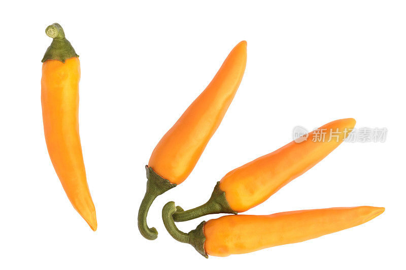 黄辣椒-保加利亚胡萝卜