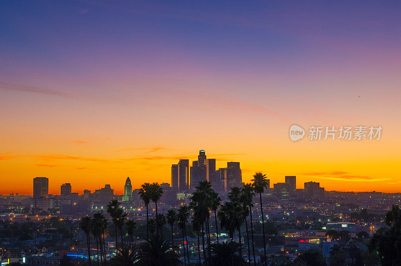 洛杉矶日落，天际线和棕榈树，广角
