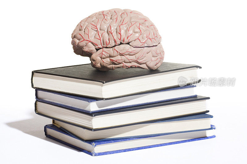 人的大脑在书本上