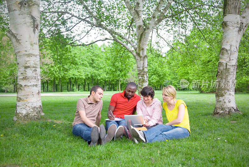 一群带着笔记本电脑坐在草地上的多民族学生