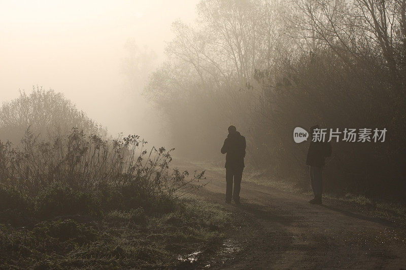 雾中的剪影....冬天的早晨,湿地