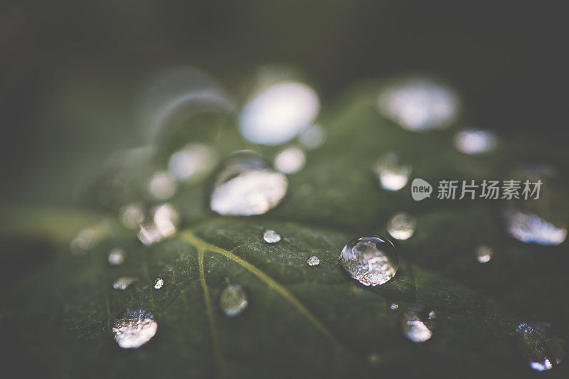 雨过天晴