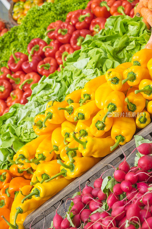 青椒、萝卜、生菜、胡萝卜等新鲜蔬菜