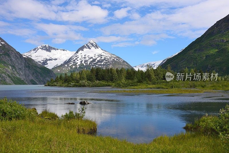 阿拉斯加波蒂奇湖和冰川的夏季视图