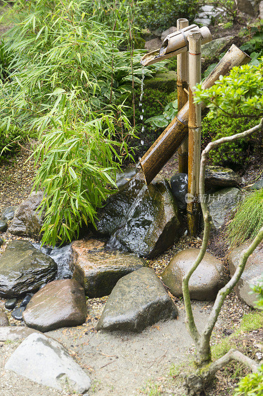 日本花园中传统的日本竹制喷泉的特写