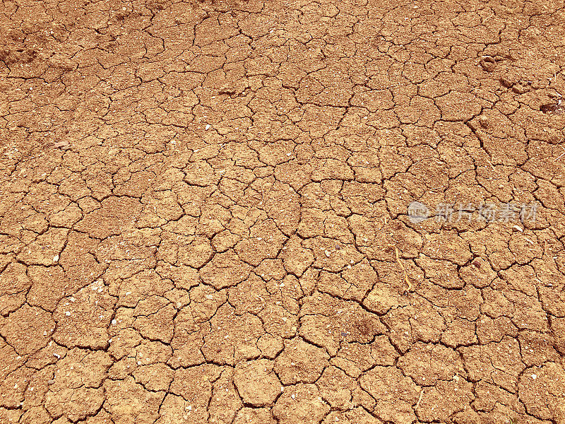 沙漠干旱