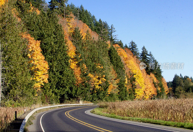 秋天沿着一条风景优美的公路