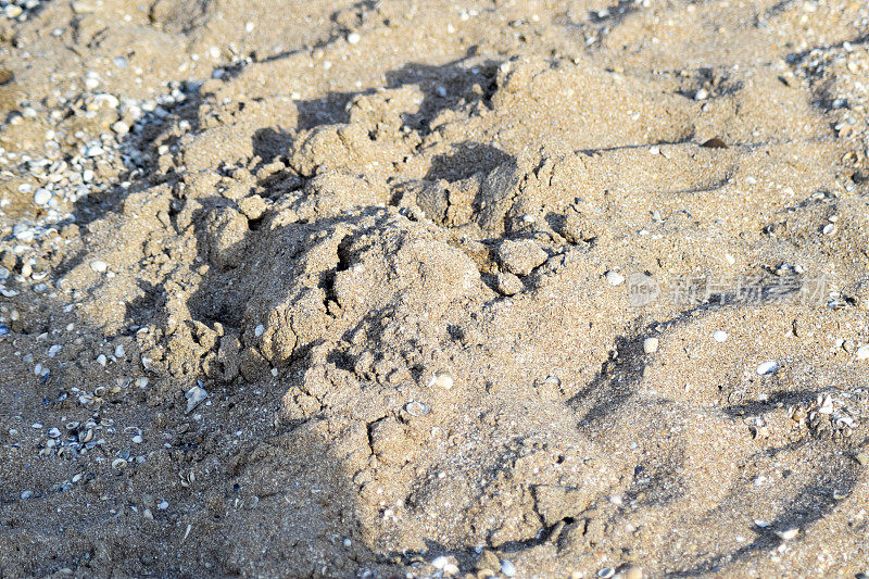 海边沙滩上的沙子。沙子里的贝壳