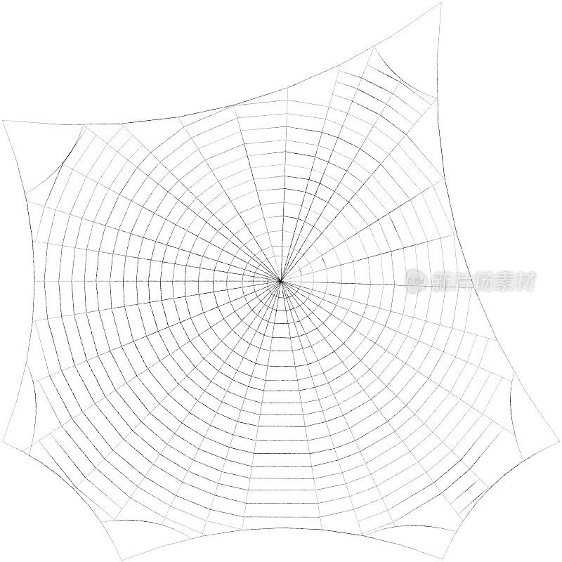 蜘蛛网。孤立在白色背景上。示意图说明。