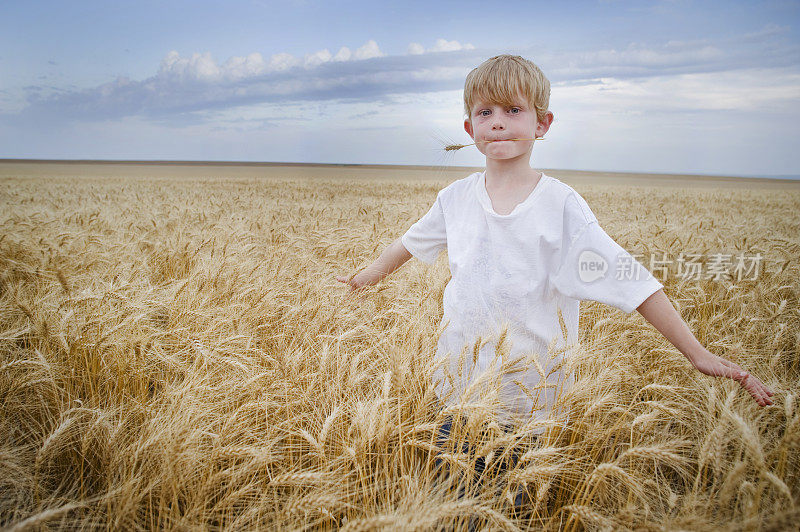 麦田里农村男孩的环境肖像
