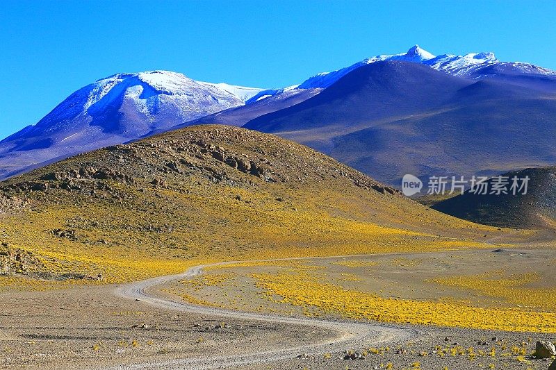 山土路通过智利安第斯高原在日出和火山，田园诗般的阿塔卡马沙漠，白雪皑皑的火山草原普纳景观全景-安托法加斯塔地区，智利安第斯，智利Bolívia和阿根廷边境