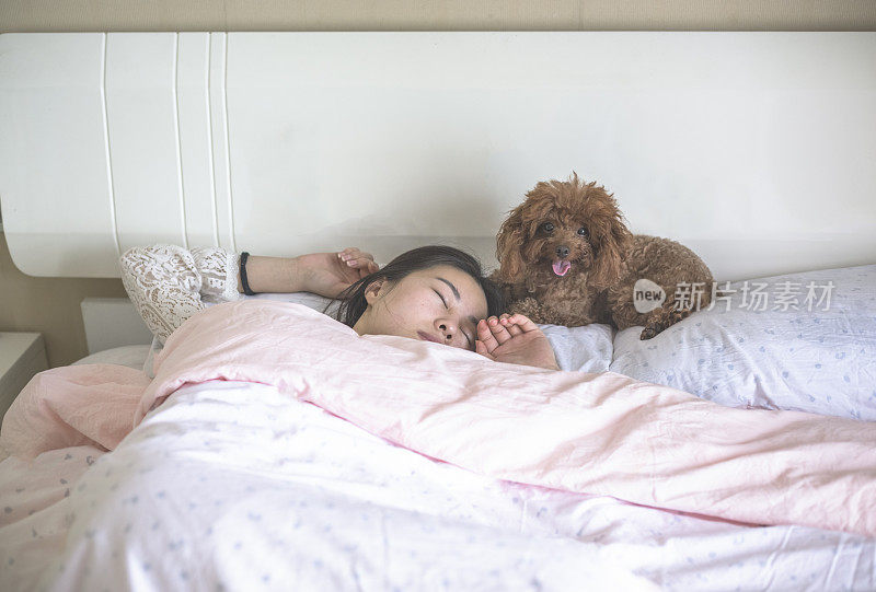 一个女人睡觉时，一只狗趴在床上休息