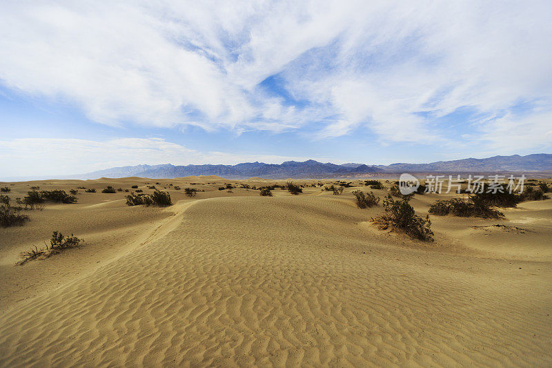 死亡谷国家公园:沙丘和沙漠