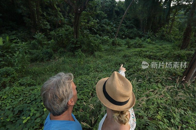 在探险过程中，一对夫妇凝视着丛林