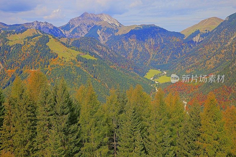 秋天的松树林地景观-奥地利蒂罗尔的因斯布鲁克乡村