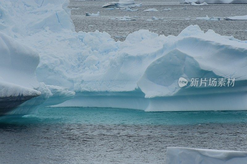 南极洲