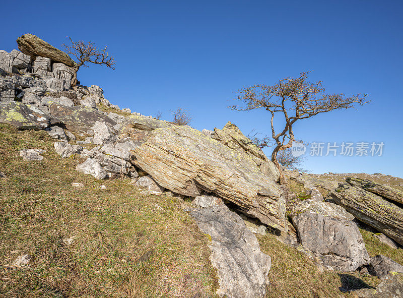 英国约克郡山谷的石灰岩风景