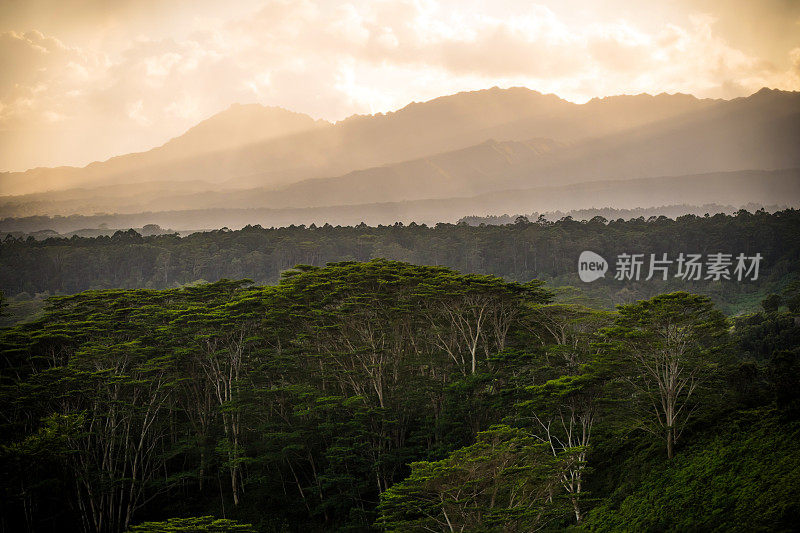 夏威夷考艾岛，郁郁葱葱的Makaleha山