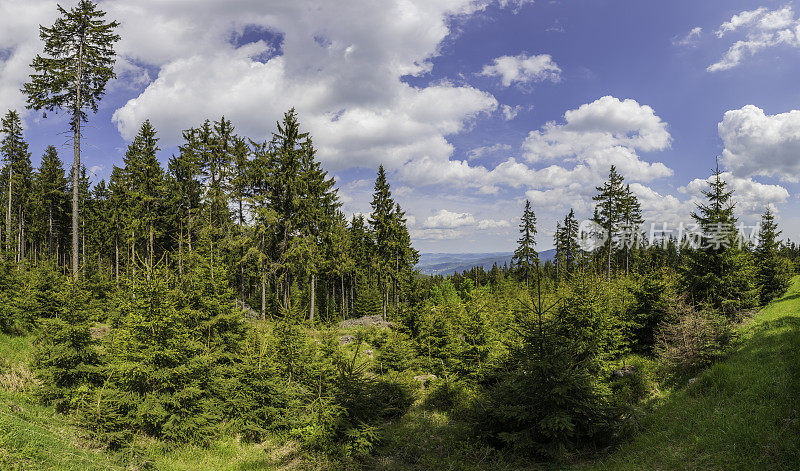 全景山景