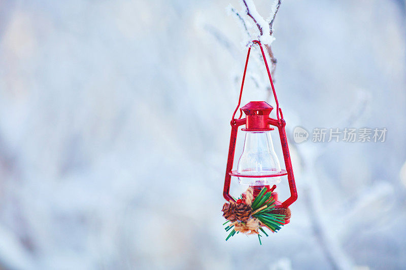 圣诞彩灯挂在雪白的树枝上