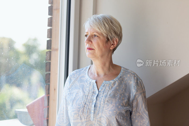 高级的女人肖像