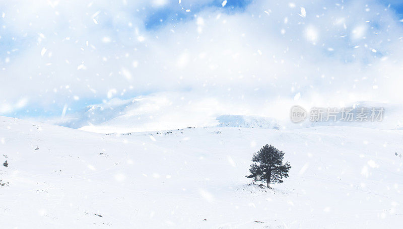 冰雪覆盖的冬季森林和山地景观