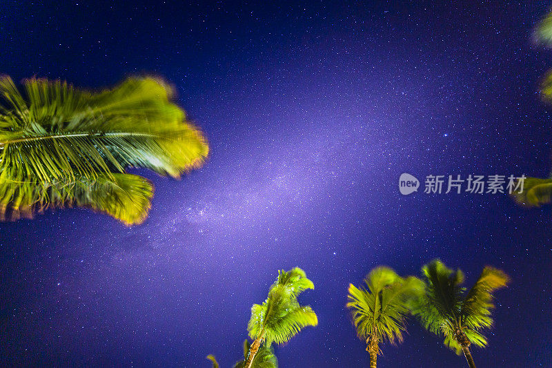 巴西巴伊亚的夜空上的银河和棕榈树-星星景观