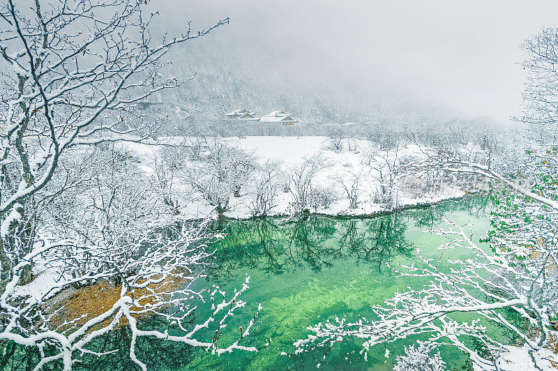 美丽的自然景观黄龙和九寨沟国家公园与惊人的雪在中国四川