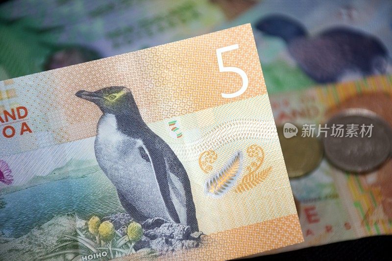 新西兰币(NZD)元