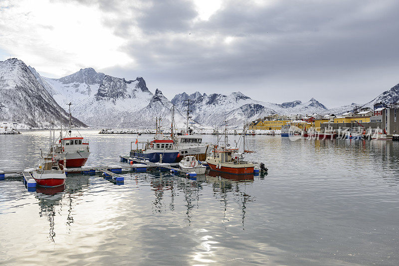 冬季，在Øyfjorden的Senja渔村，海湾里的渔船