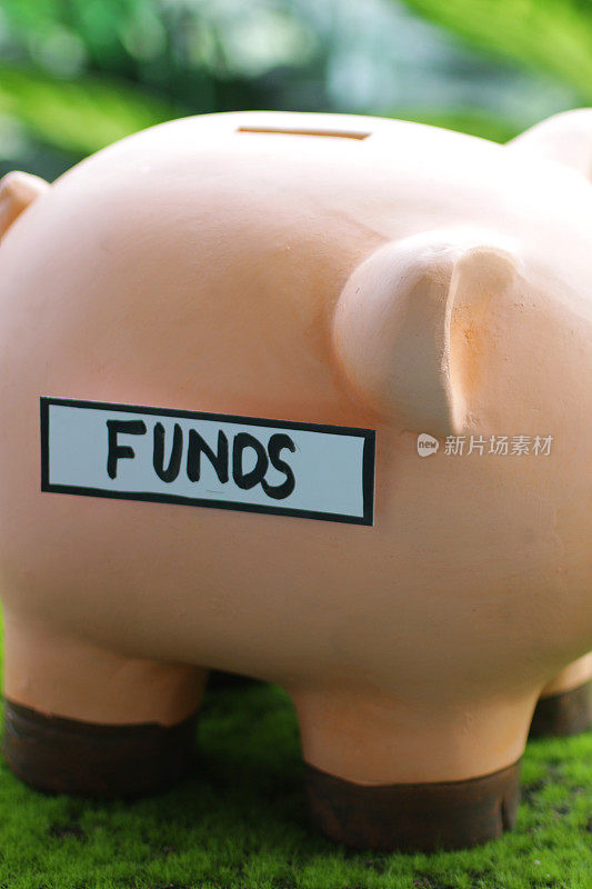 特写图像的小猪银行与插槽顶部与基金标签，家庭财务和储蓄的概念