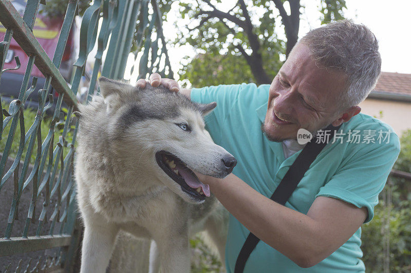 成年男子喜欢和他的宠物哈士奇狗玩耍