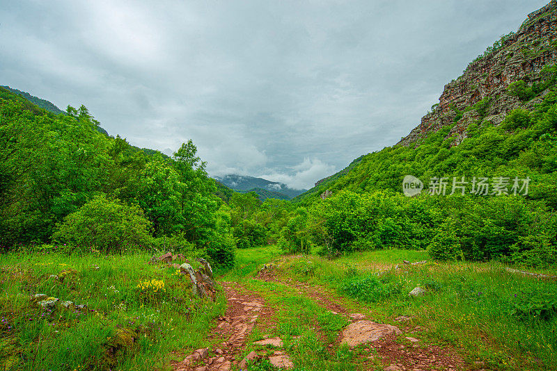 蜿蜒的道路在老山或斯达拉平原的乡间穿行