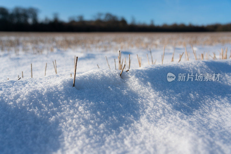 麦茬地上的雪