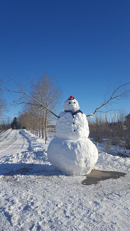 整洁好看的雪人