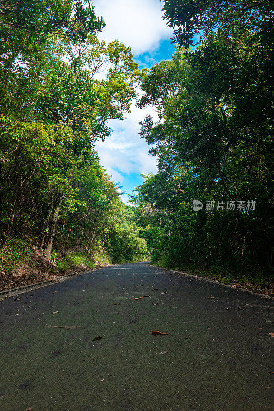 大潭笃水塘的一条小路