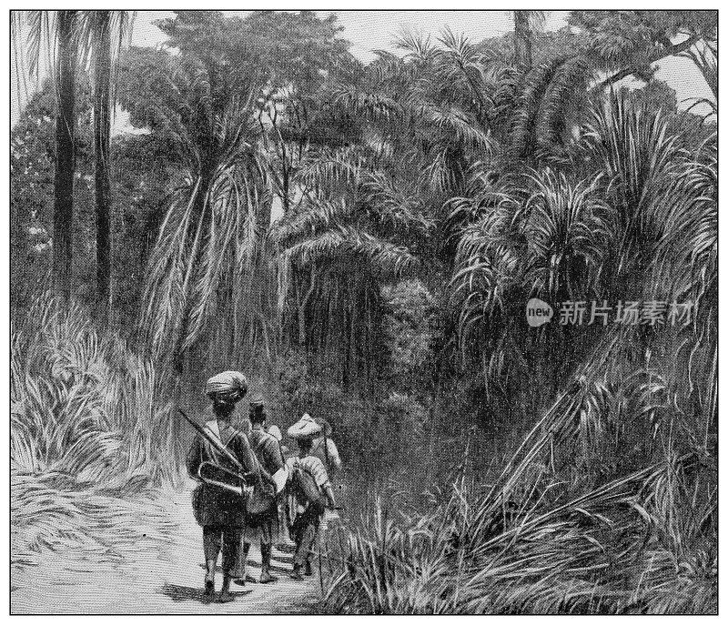 古董黑白照片:非洲探险