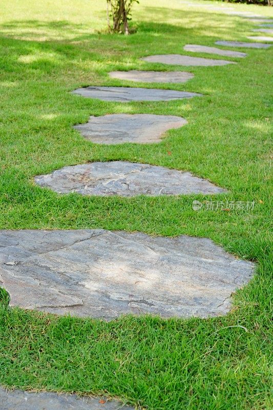 绿草草坪上的石头小路