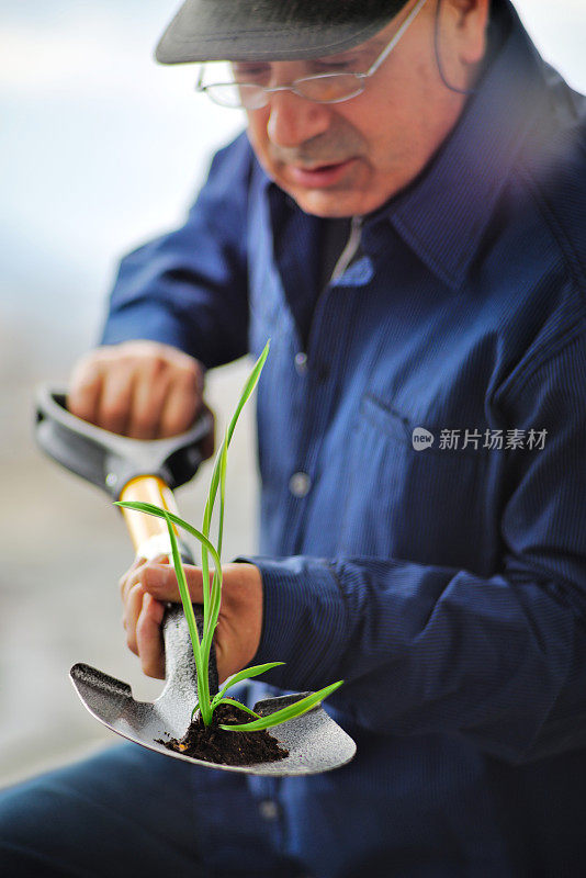 植物播种