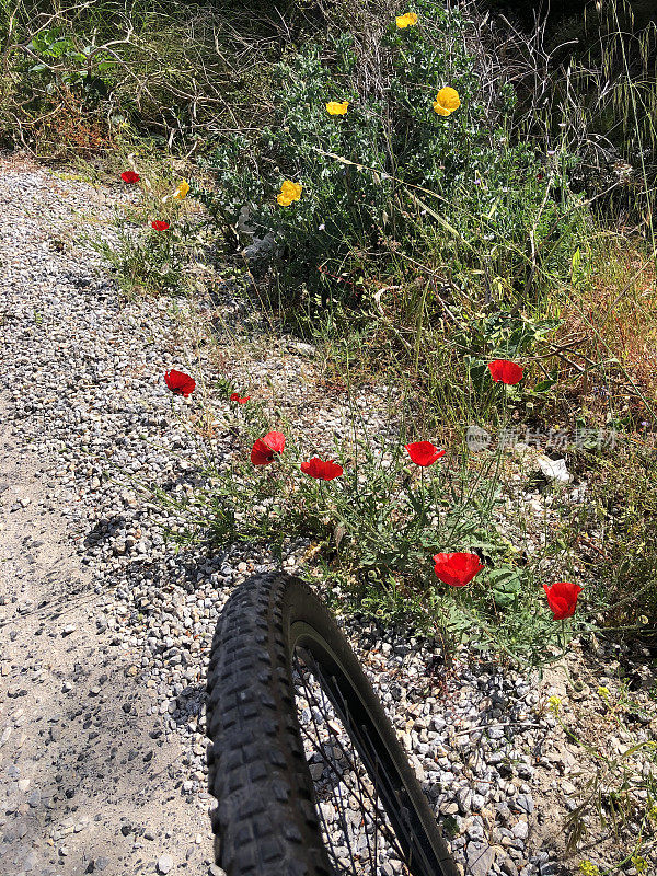 在野花和草地上折叠自行车