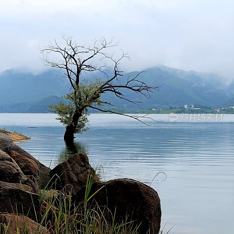Daecheong湖风景