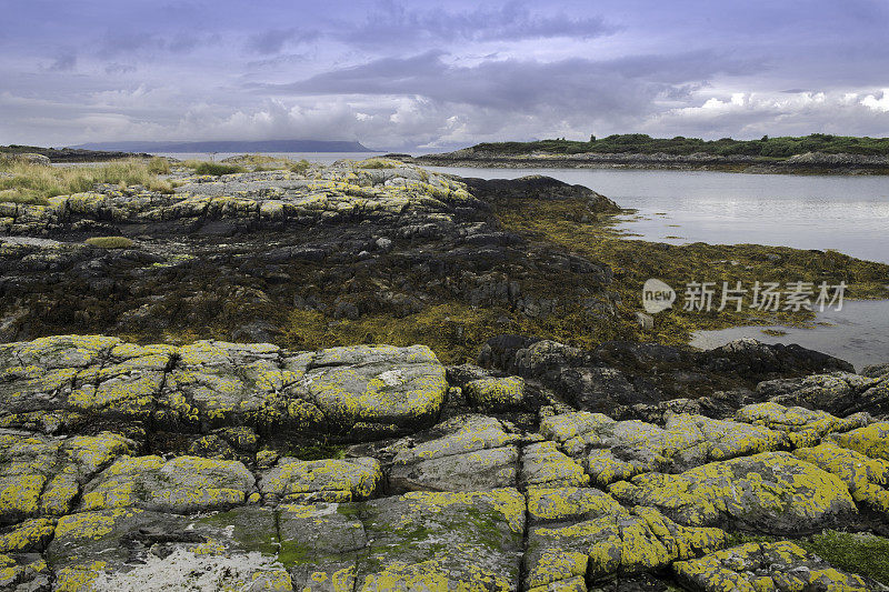 在苏格兰阿里斯格附近的银沙滩上，俯瞰覆盖着青苔的岩石。