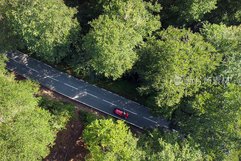 森林中的道路-鸟瞰图