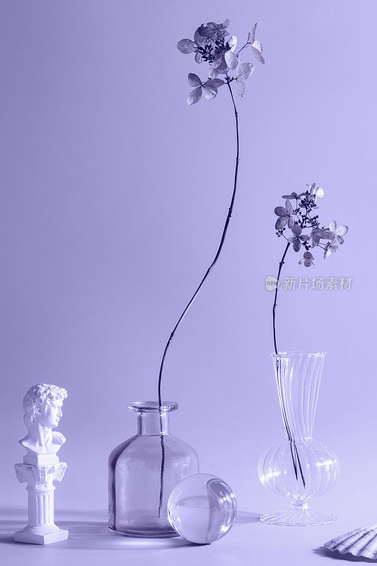 简单，自然，侘寂的概念。花瓶里的干花很时髦。今年的颜色。时尚的彩色玻璃制品。