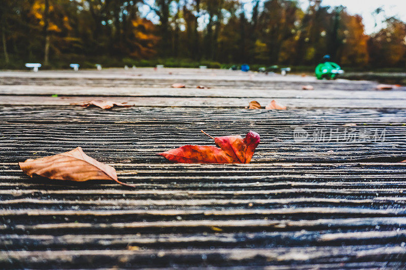 秋叶落在湖边的木桥上。