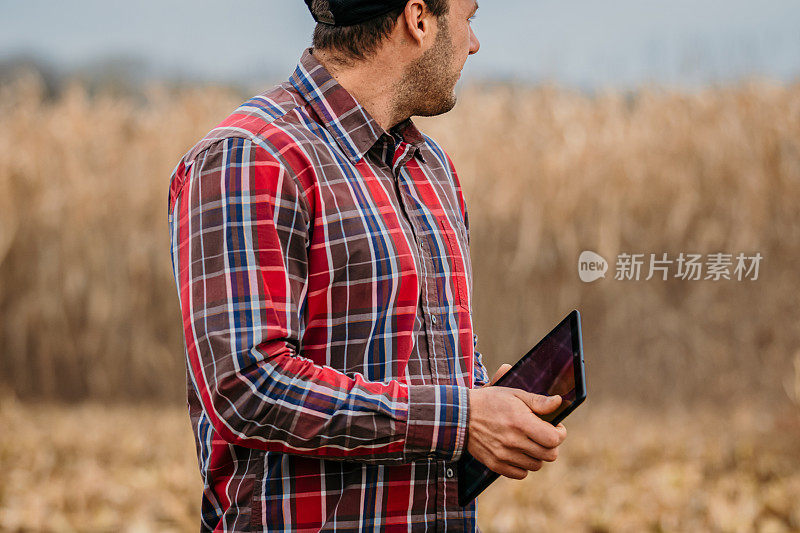 男性农民的特写，拿着一块石板，看着他的玉米田，上半身