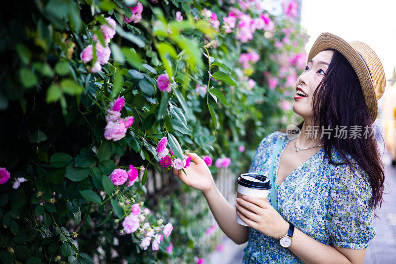 美丽的女人肖像与小粉红玫瑰背景