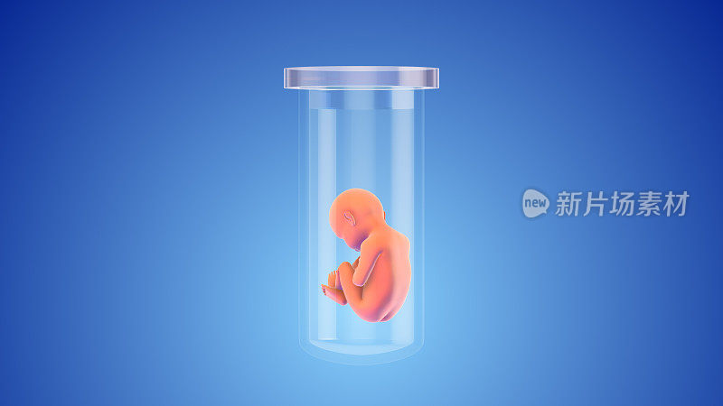 试管婴儿体外受精