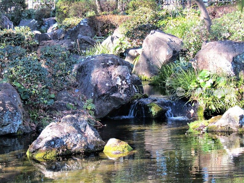日本。二月的晴天。公园里有一条小溪。